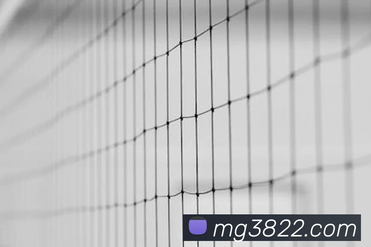 MG冰球突破APP 封面图
